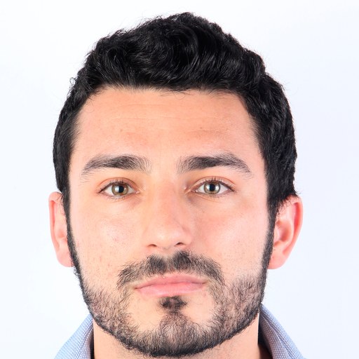 David Franco Aguirre — Отвечает за проект и за то, что на нём публикуется